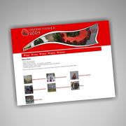015_strona-roza