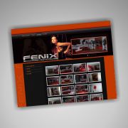 020_strona-fenix